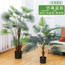 �����F���������҃ȾƵ��b��ؙ�������Pβ������Gֲ�������l