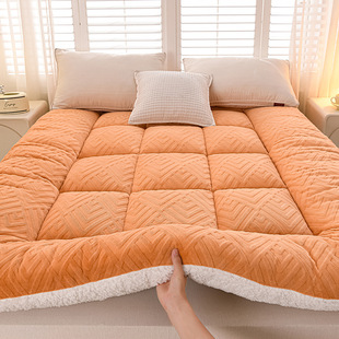 �p�����q���|��ë�q�|�ӌW�����������p�ˆ��˼��É|��ʽ�L��