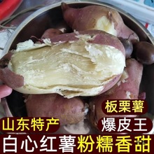 ���r���ļt�����������Ĺ��ܼt����Ʒ�Nɳ�ذ�ȿ��عϱ����İ���