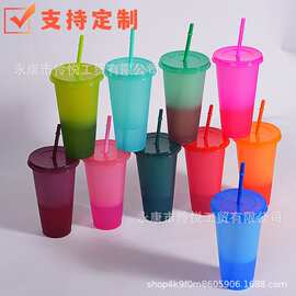 亚马逊跨境爆款变色闪粉吸管杯大容量710ml塑料杯pp材质单层水杯