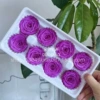 4-5CM red and purple box