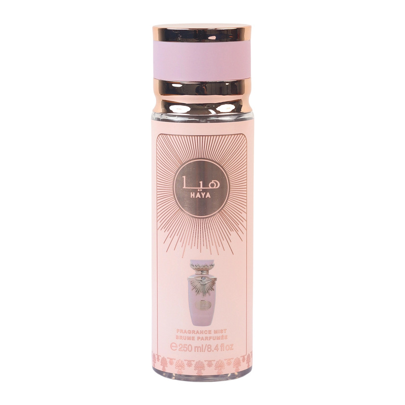 跨境爆款现货淡香浓香跨境香水阿拉伯伊拉克身体喷雾 perfumes|undefined