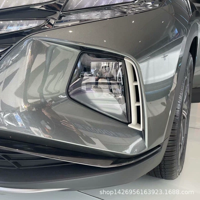 for Hyundai Tucson Fifth Generation 21: Lamp eyebrow