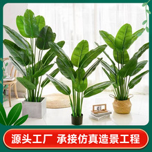 厂家定制室内装饰绿植仿真高级感造景仿真绿植盆栽手感旅人蕉落地