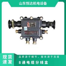 BHD1-5/127-8G �V�õ͉���|�Ӿ��� 8ͨ�־���