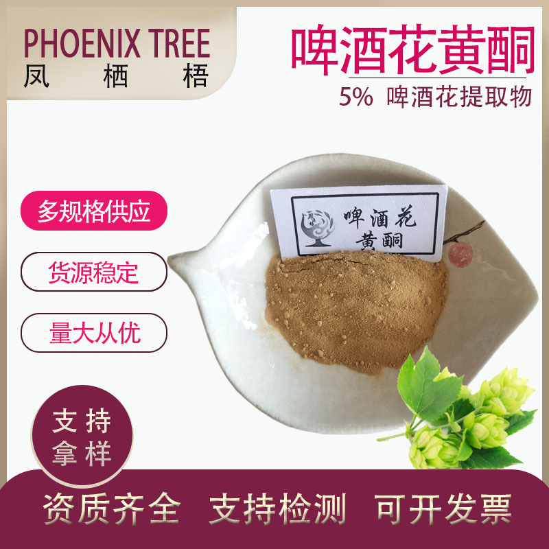厂家现货供应量大从优啤酒花提取物啤酒花粉多种规格5%啤酒花黄酮