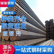 V|ɽܬF؛lСڏ܈ӈAQ195Ҿ߼F