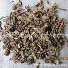 白头翁,野丈人,白头公,中药材为毛茛科植物白头翁的根