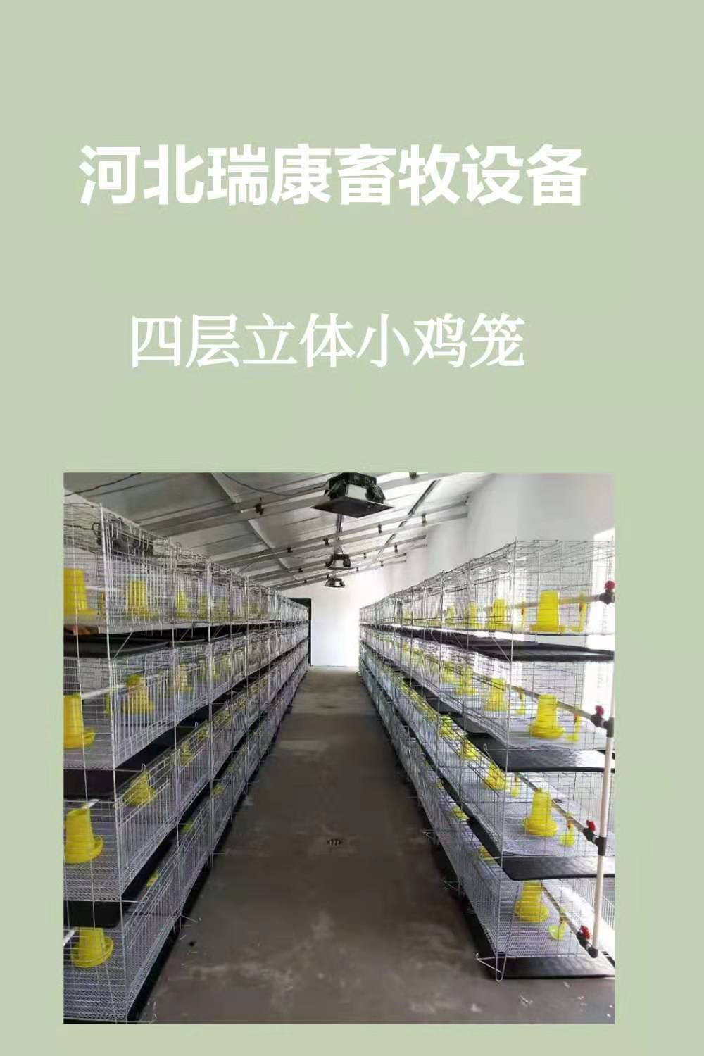 养鸡设备鸡笼子 小鸡笼 加粗育雏笼 食槽 鸡舍 笼子四层出口品质-阿里巴巴