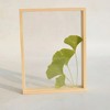 Scandinavian double-sided glossy creative photo frame, transparent plant lamp, sample, wooden jewelry