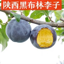 �Fժ�ڲ�������5�����r��������AÓ���ЋD����ˮ������������