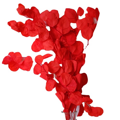 Preserved flower apple leaf manufacturer wholesale apple leaf round leaf eucalyptus preserved flower dried flower bouquet home decoration