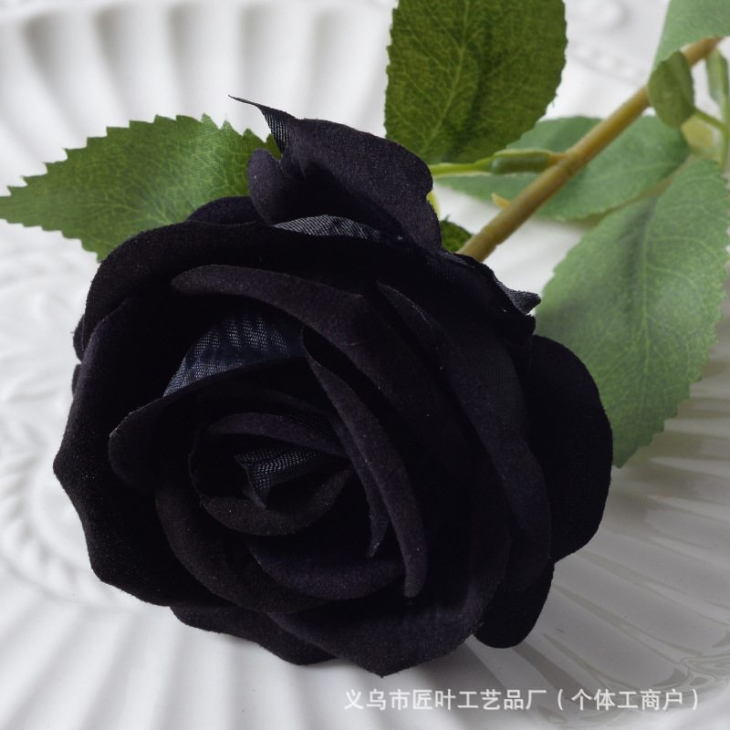 작은 벨벳 블랙