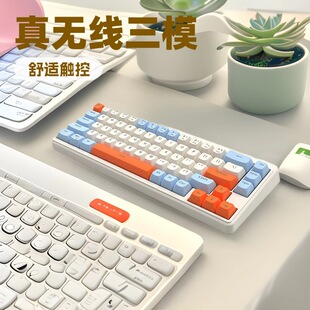 ���OAK224�o���{����ģ�Cе�ָ��I�P�Α�늸��k���o��PBT��ñ�I