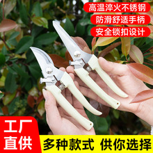 �羳���ڌ���������֦���� �@���޼��� ���P䓲��| 1������