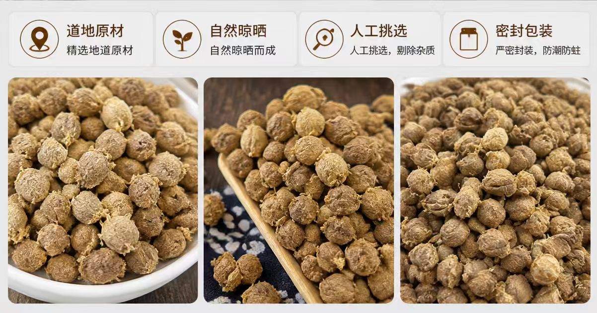Dried Mantis Egg Case Sang Piao Xiao 桑螵蛸 TCM Herb for Wine Infusion and Decoction Sun Dried Anhui Origin quality and texture
