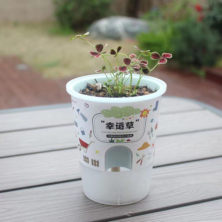 ׶԰ͯDIYֲѧƷ̲豭Ʒ