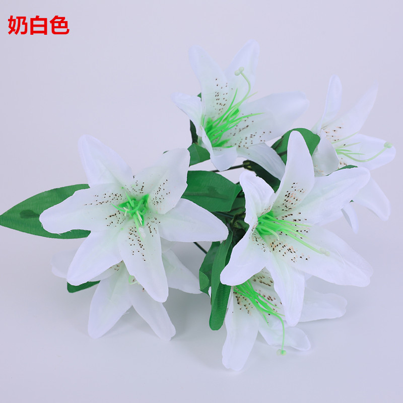 아이보리 (화분 미포함)