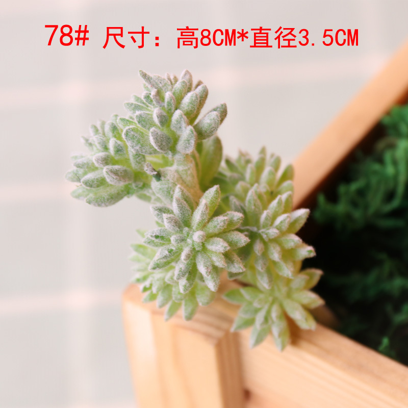 模擬多肉植物、小さな多肉植物、高品質の偽緑植物の壁、室内装飾の組み合わせ、植毛、リアルな模擬花の卸売|undefined