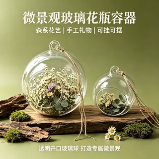 创意微景观悬挂式透明玻璃花瓶DIY手工造景多肉植物家居装饰摆件