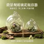 家居悬挂式手工景观花瓶