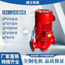 �S�ҹ��� XBD-(I)����ʽ�����μ�ֱ��ʽ������ ��ʽ�μ�������