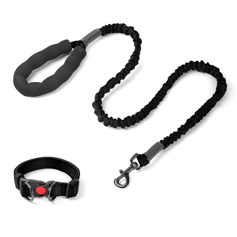 Correa de perro al por mayor perro mediano perro correa de perro grande Golden Retriever DEMU cuero perro correa de cuero