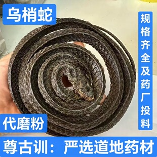 ������ ��ș�Ğ����� �Ĵ����߸� ��؛��� ֧��ș�z �н�ӆ��