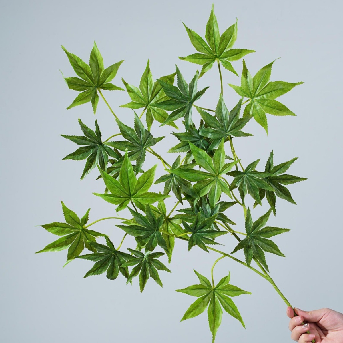 鸡爪枫叶枫树叶枫叶仿真叶仿真绿植室内装饰摄影道具摆件插花盆栽