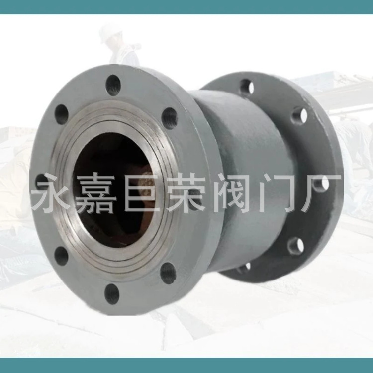 南高阀门生产 H42H-25C立式止回阀 法兰逆止阀 防止倒流 耐磨损