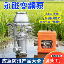 定制永磁变频潜水泵大流量油浸泵防洪排涝便携泵鱼塘养殖农田灌溉