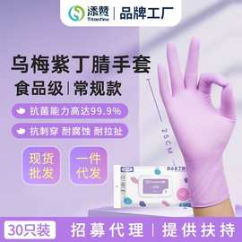 一件代发泰能食品级丁腈手套厨房洗碗家务手套一次性加厚清洁耐