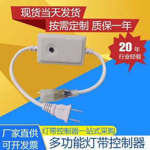 5050RGB lamp with colorful four pin 8 function controller LED lamp with controller discoloration plug 220V