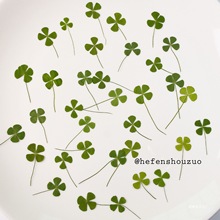 ���~�ݘ��~�˱����\�ݵ��z�ɻ��ֹ�������Ȼ�滨�ɻ�Ѻ�����~