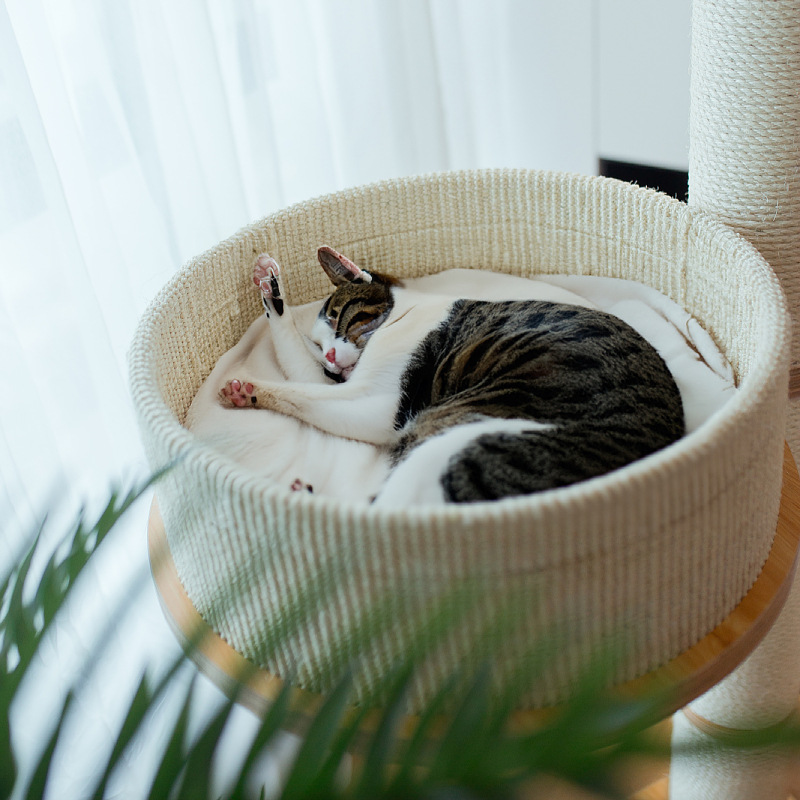 Madera gato escalada perno gato nido gato columna de agarre gato árbol de gato artículos para gatos juguetes para gatos grandes perno escalada