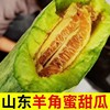 Shandong Claw honey muskmelon Season find fresh fruit Melon wholesale