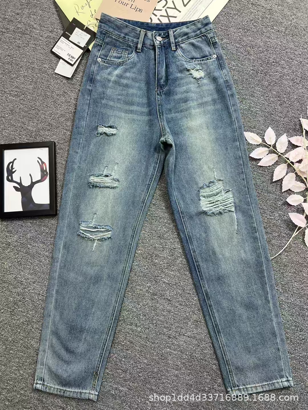 微信图片_20250529163627