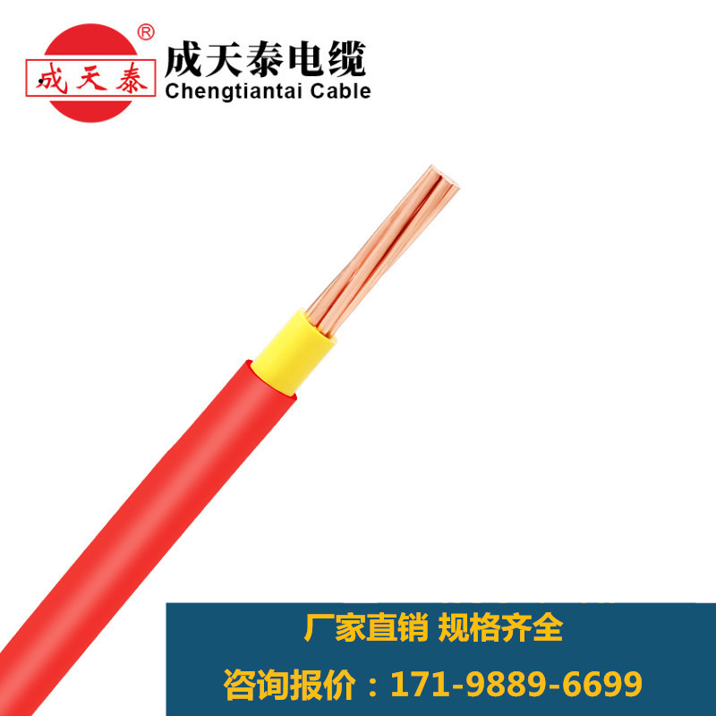 厂家直供成天泰 BVV1*10-300平方双塑纯铜多股绝缘电线工业护套线