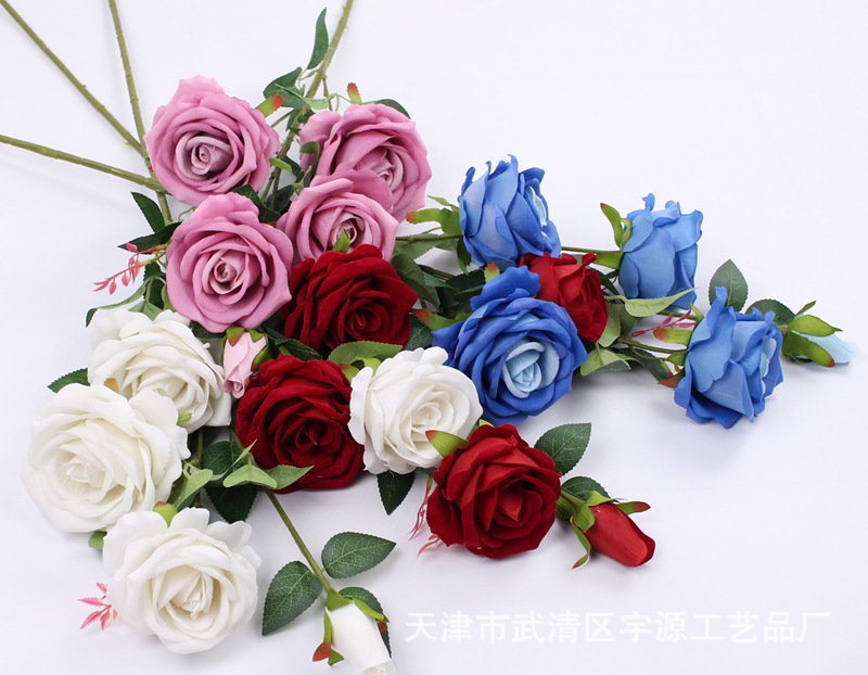 img_8114_副本.jpg