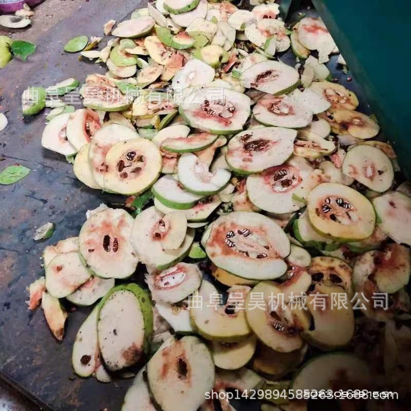 鲜木瓜切片机 佛手柑切片机 家用电动圆盘旋切药材设备直销价