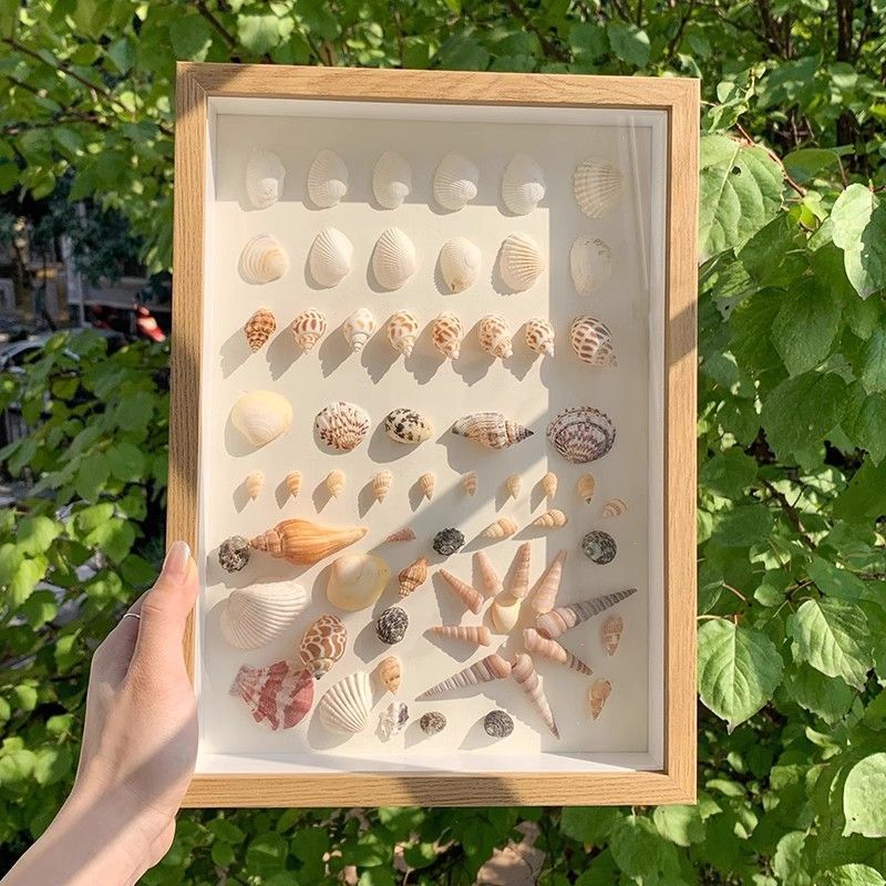 Three-Dimensional Hollow Photo Frame with Seaside Shells and Conch Shells, DIY Display Stand, Handmade Picture Frame Gift, Simple and Cute Three-Dimensional Hollow Photo Frame with Seaside Shells and Conch Shells, DIY Display Stand, Handmade Picture Frame Gift, Simple and Cute
