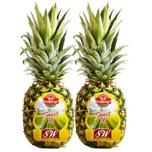 ��ũ����ˮ������2����� ��Ƥ��ʳsw���ɱ����ڽ���ˮ������