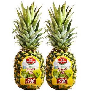 ���r�P��ˮ�����r2����� ��Ƥ��ʳsw�����e�M�ڽ��}ˮ�����]