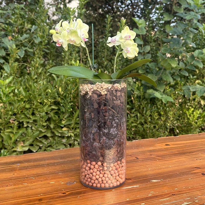 Акрил против падения мокрой чашки для выращивания вазы с гидропонной водой