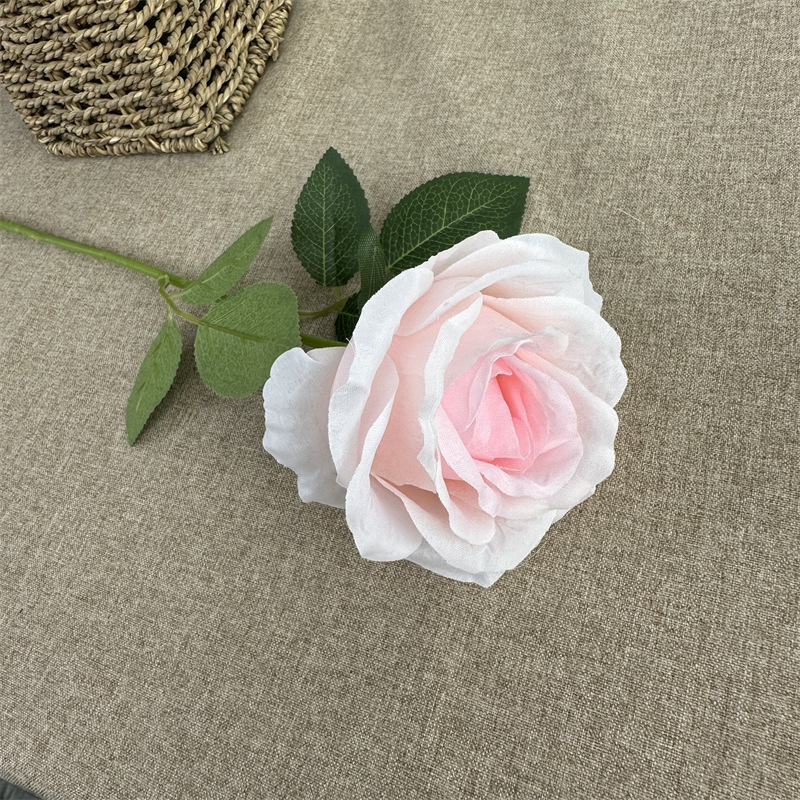 Single Anna Rose Champagne Side Pink Heart