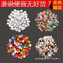 ������ɫСʯ�^�������ʯ�ӻ���С��ʯ�廨ʯ�@ˇ��һ