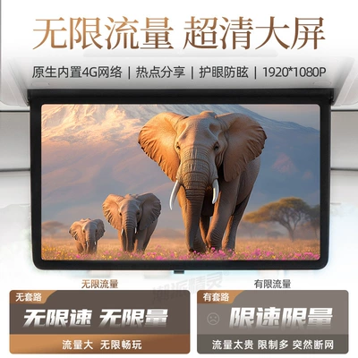 Rear Entertainment Screen, M9 Modification – Car TV