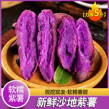 新鲜沙地紫薯新鲜紫罗兰板栗紫心番薯地瓜香薯农家自种
