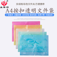 永得利按扣文件袋 塑料A4收纳资料夹pp透明档案袋保单公文袋现货
