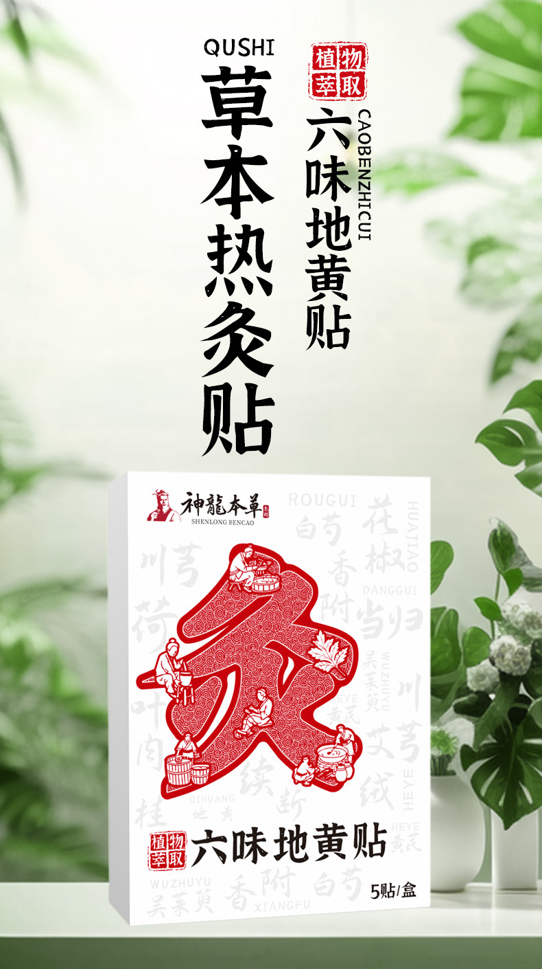 Liuwei Dihuang Herbal Heat Patch with Nanyang Mugwort for Warming Acupoint Care 5 Patches per Box overview
